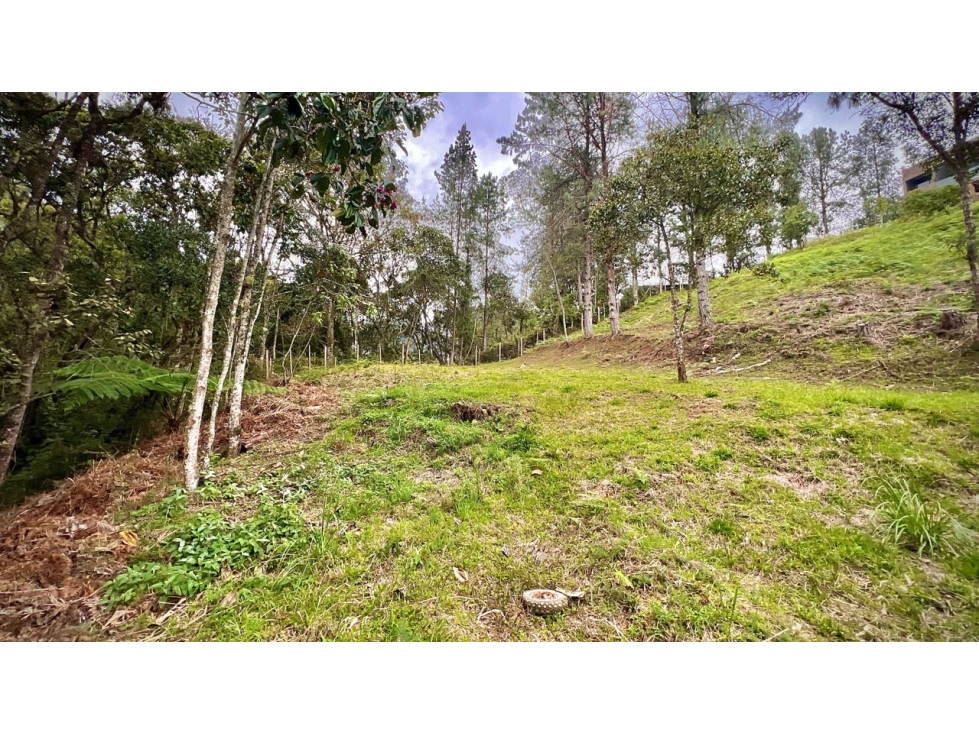 Venta Lote PRIVADO full amenities Parcelacion Alto Palmas Escobero — foto 3