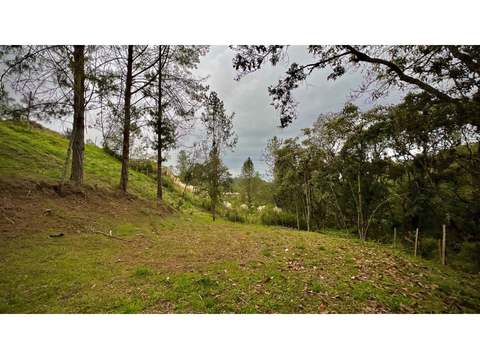 Venta Lote PRIVADO full amenities Parcelacion Alto Palmas Escobero