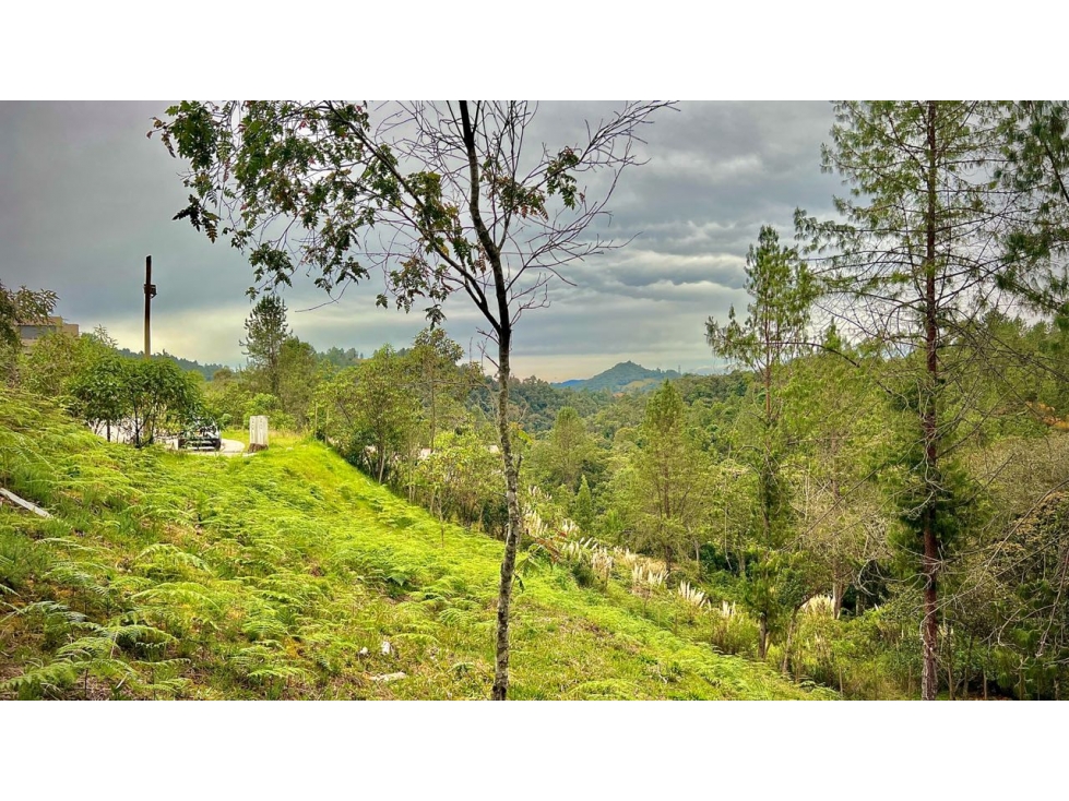 Venta Lote PRIVADO full amenities Parcelacion Alto Palmas Escobero — foto 6