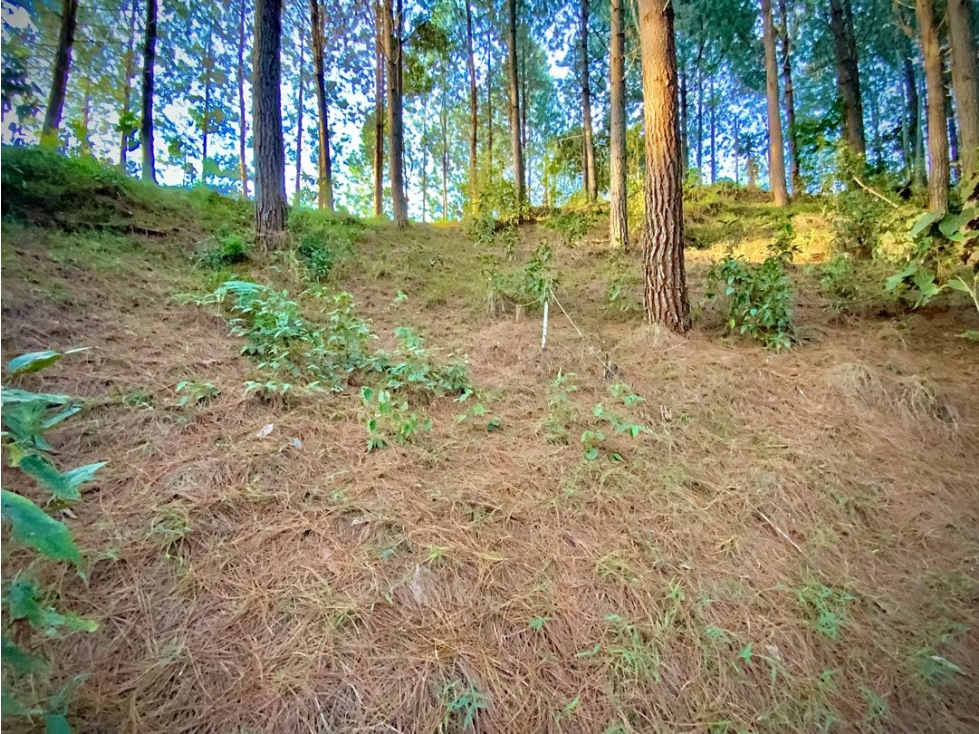 Venta Lote Vista Lejana Bosque Parcelacion El Retiro — foto 4