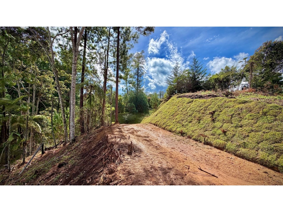 Venta Lote Vista Lejana Bosque Parcelacion El Retiro — foto 6