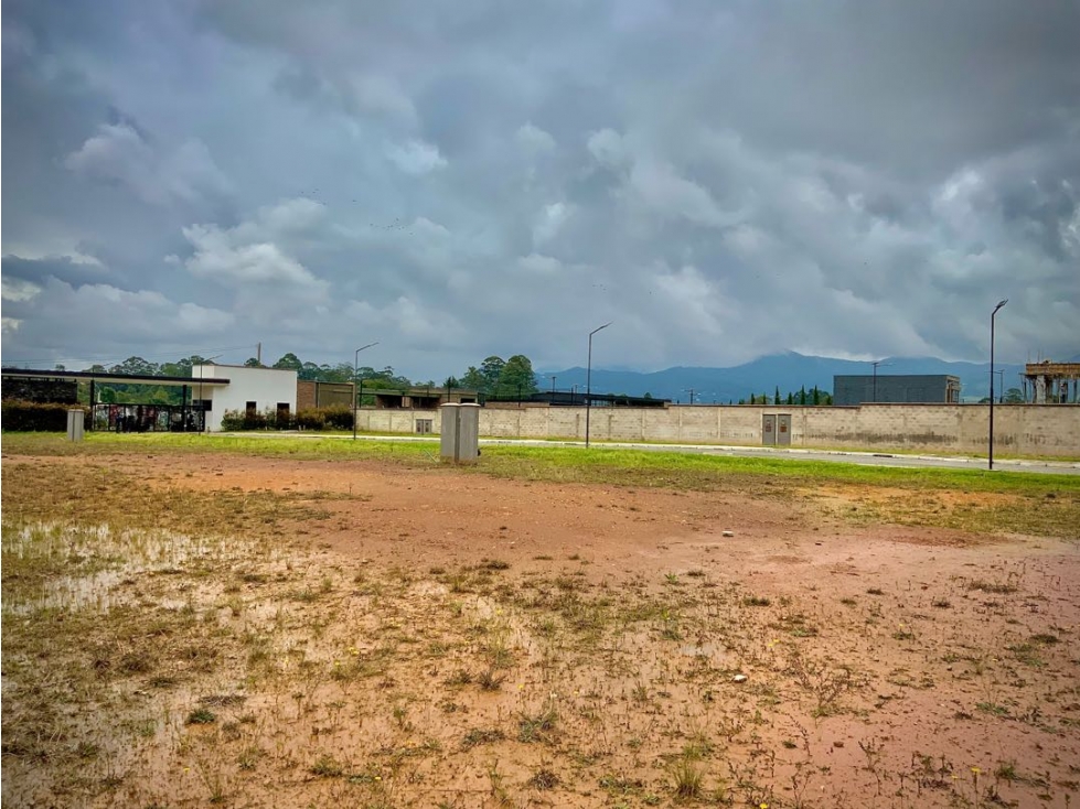Venta Lote Unidad Cerrada Todos Los Servicios La Ceja — foto 4