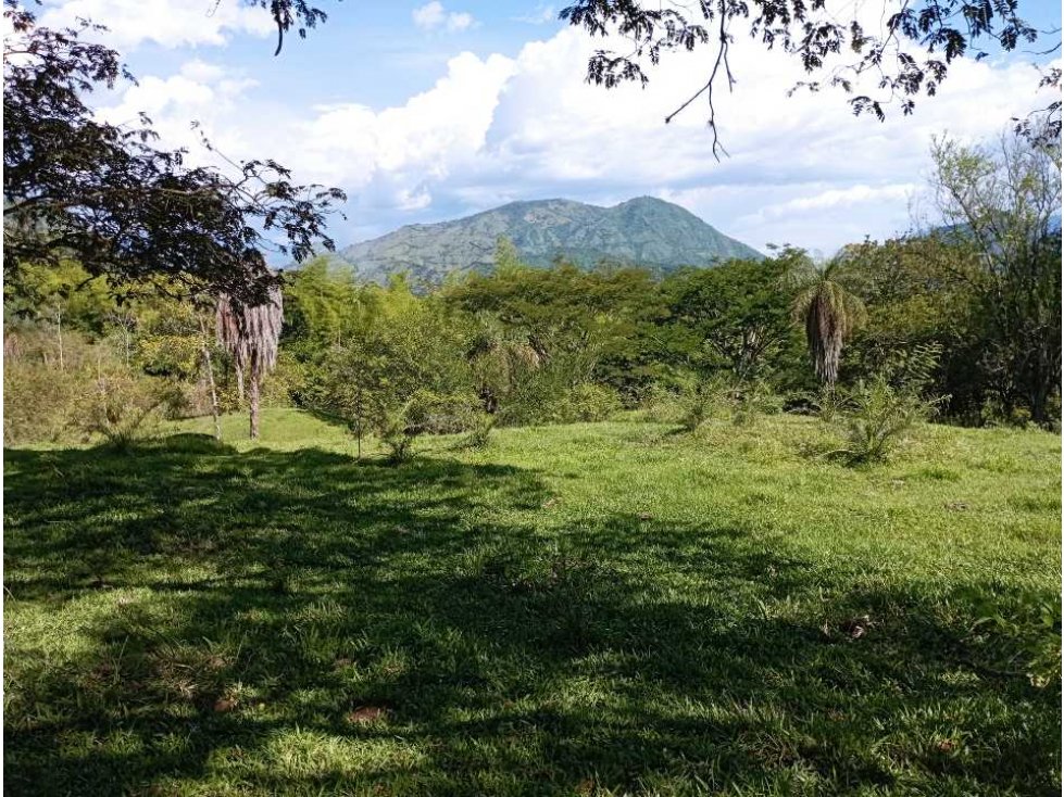 VENTA LOTE PARCELACION LA PINTADA SUROESTE ANTIOQUEÑO — foto 3