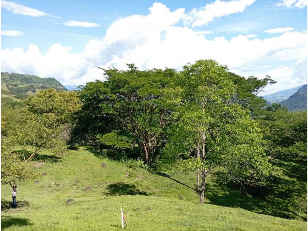 VENTA LOTE PARCELACION LA PINTADA SUROESTE ANTIOQUEÑO — foto 4