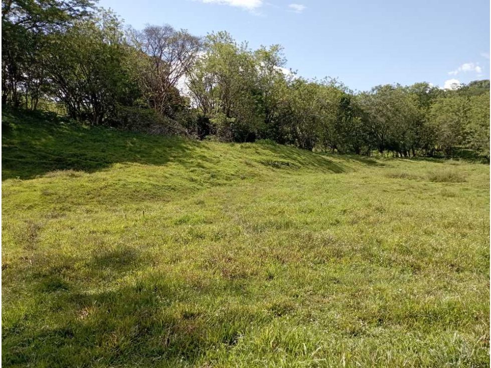 VENTA LOTE PARCELACION LA PINTADA SUROESTE ANTIOQUEÑO — foto 5