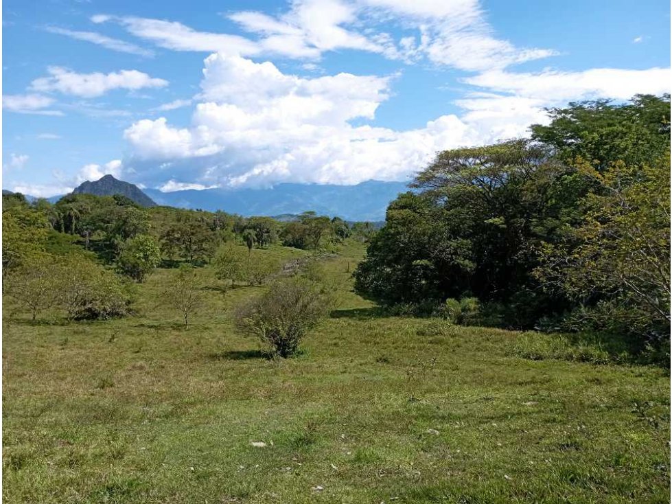VENTA LOTE PARCELACION LA PINTADA SUROESTE ANTIOQUEÑO — foto 6