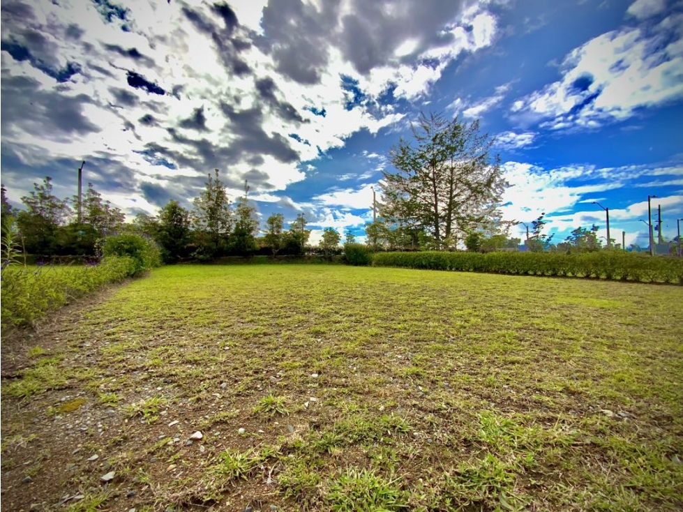 Venta Lote CASAS NO ADOSADAS Parcelacion Llanogrande