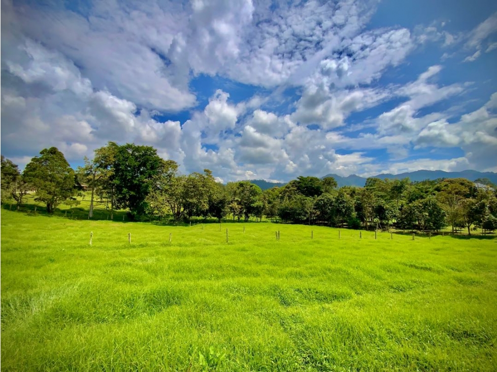 Venta Lote Semiplano con Exotica Vista Parcelacion El Retiro — foto 5