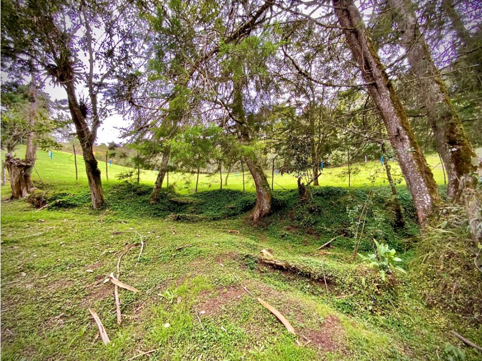 Venta Lote Parcelacion Sobre Planos El Retiro - 3