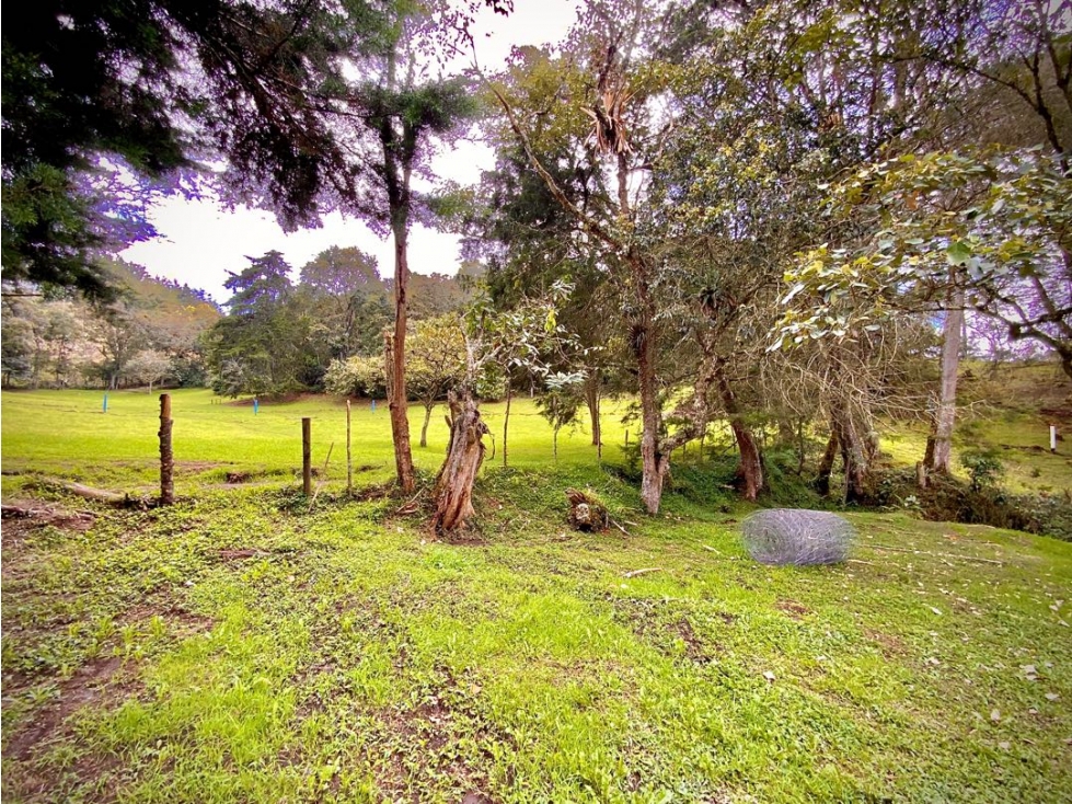 Venta Lote Parcelacion Sobre Planos El Retiro - 5