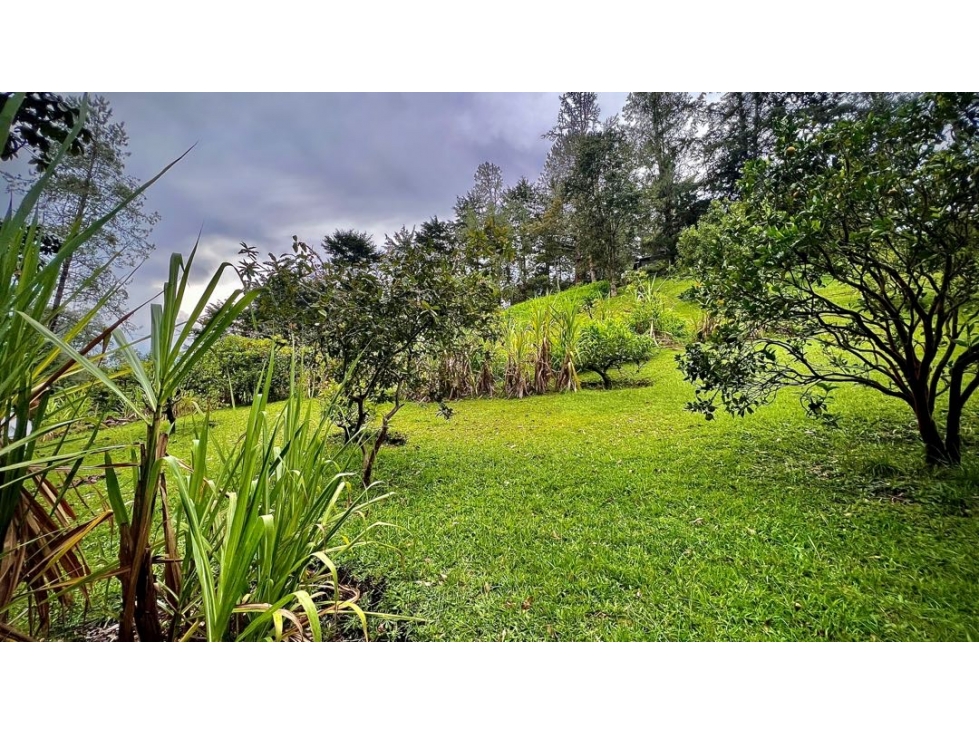 Venta Lote Parcelacion El Retiro