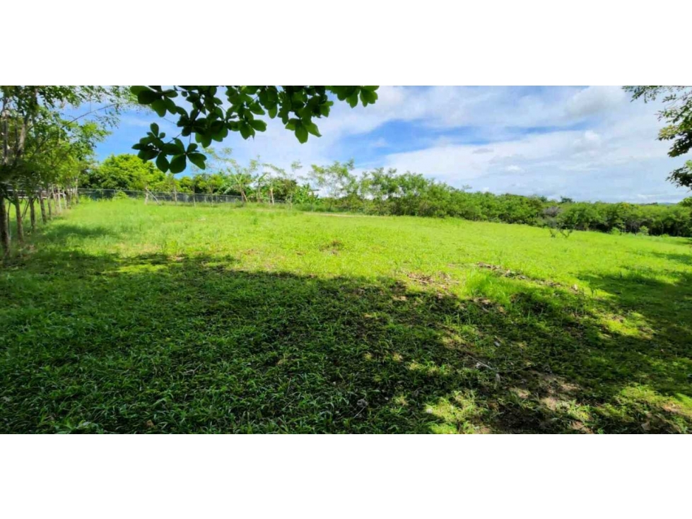 VENTA LOTE CÉNTRICO 2000mt2, PENONOMÉ ORTIGA - 6