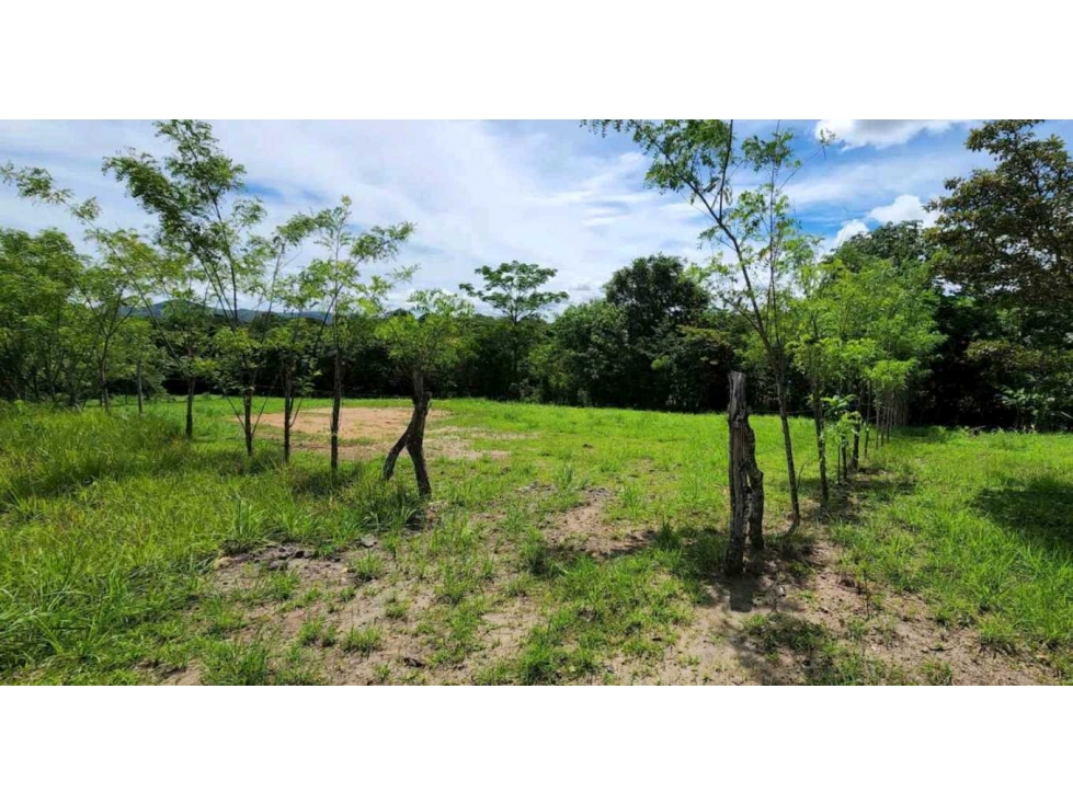 VENTA LOTE CÉNTRICO 2000mt2, PENONOMÉ ORTIGA - 4