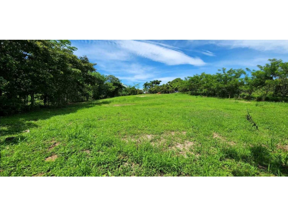 VENTA LOTE CÉNTRICO 2000mt2, PENONOMÉ ORTIGA - 1