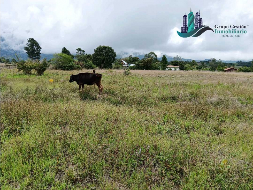 VENTA LOTE PLANO CON BELLA VISTA AL VOLCÁN 1000 Metros - 4