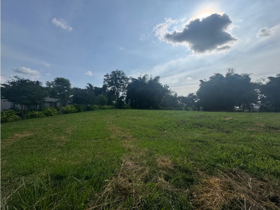 Venta lote Plano con vista Cerritos Pereira condominio