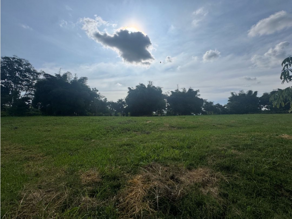 Venta lote Plano con vista Cerritos Pereira condominio — foto 4