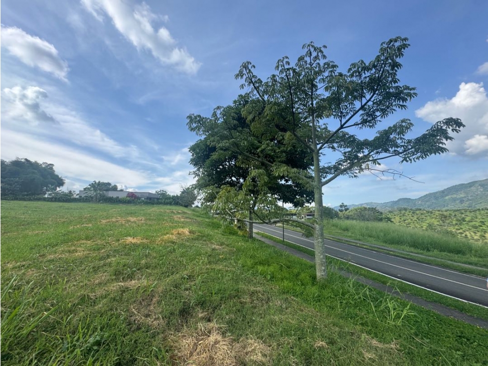 Venta lote Plano con vista Cerritos Pereira condominio — foto 6
