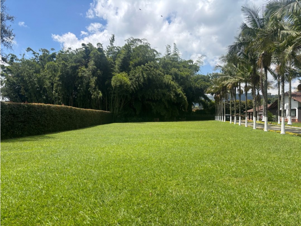 Venta lote en Llanogrande Guayabito de 2.000 m² completamente plano — foto 2