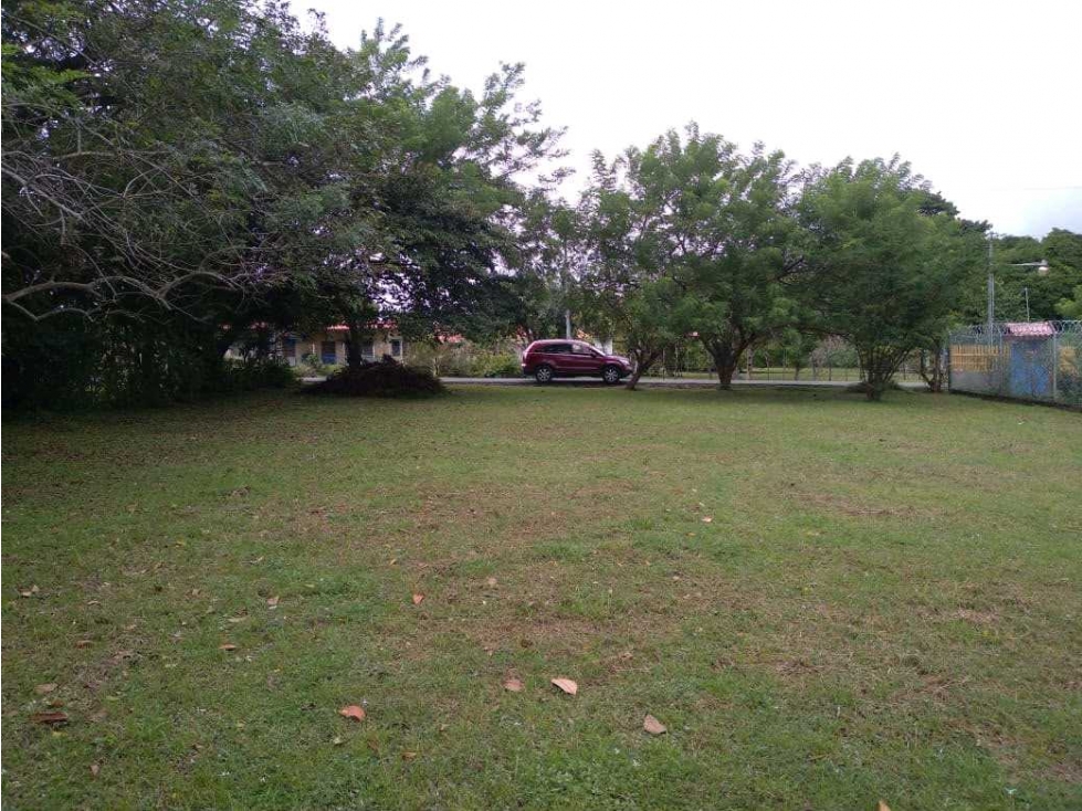 VENTA LOTE PLANO EN GORGONA 700M2 CERCA DE LA PLAYA OPORTUNIDAD UNICA
