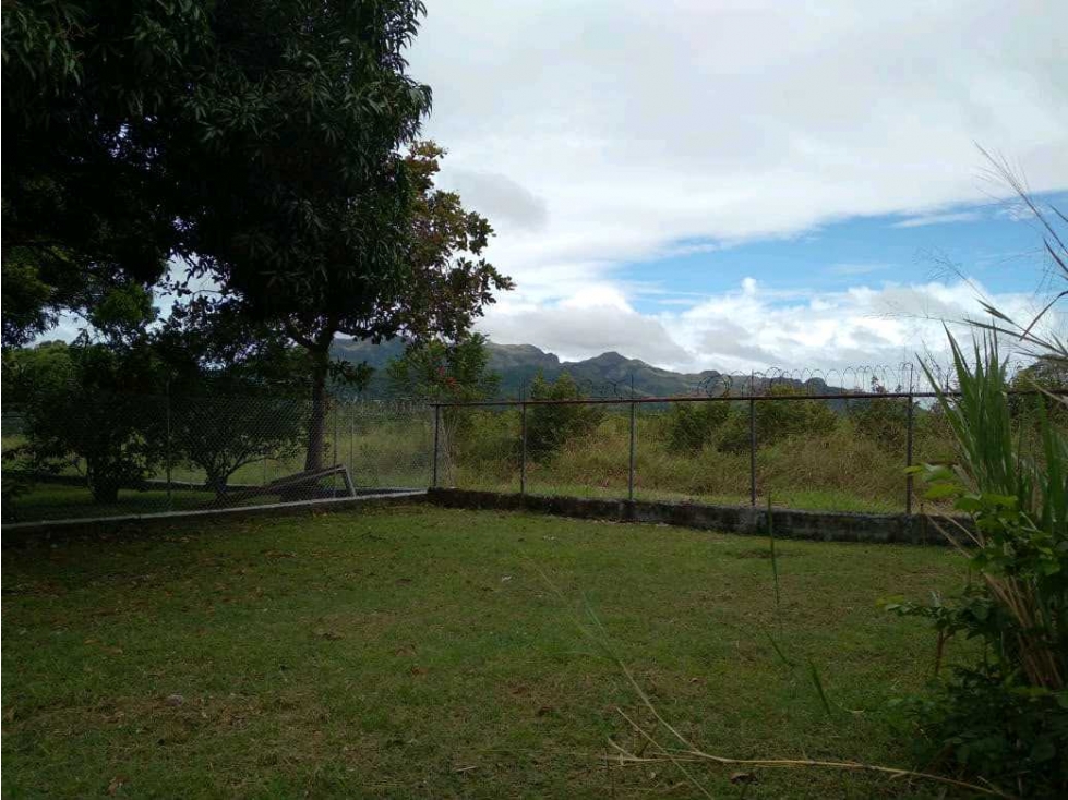 VENTA LOTE PLANO EN GORGONA 700M2 CERCA DE LA PLAYA OPORTUNIDAD UNICA — foto 2