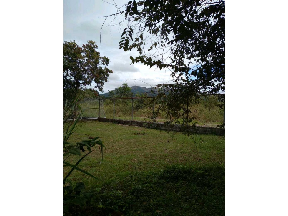 VENTA LOTE PLANO EN GORGONA 700M2 CERCA DE LA PLAYA OPORTUNIDAD UNICA — foto 3