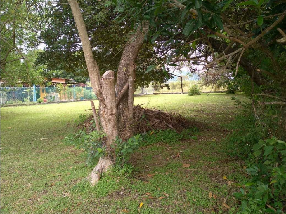 VENTA LOTE PLANO EN GORGONA 700M2 CERCA DE LA PLAYA OPORTUNIDAD UNICA — foto 5