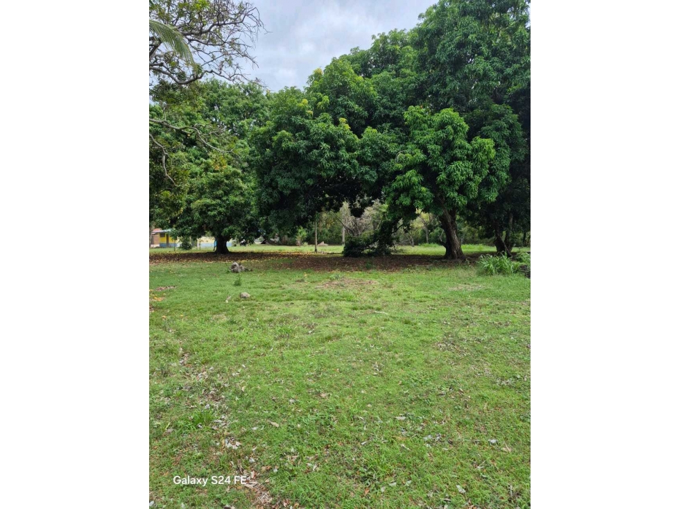 VENTA LOTE PLANO EN GORGONA 700M2 CERCA DE LA PLAYA OPORTUNIDAD UNICA — foto 6
