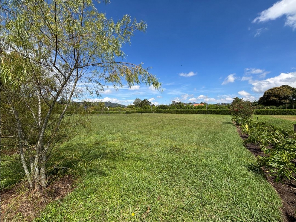Venta lote plano en unidad cerrada en Llanogrande