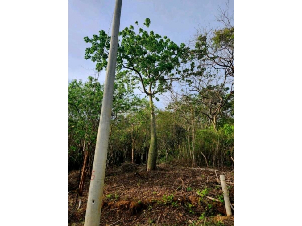 VENTA LOTE PLAYA PUERTO VELERO BARRANQUILLA COD - 2