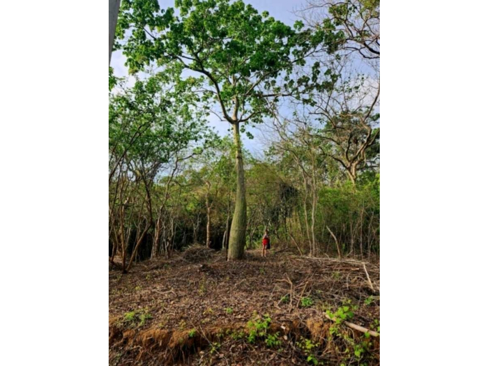 VENTA LOTE PLAYA PUERTO VELERO BARRANQUILLA COD - 3