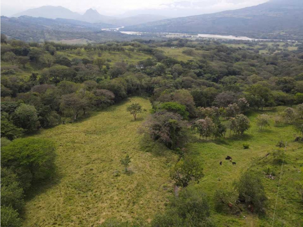 VENTA LOTE PUENTE IGLESIAS, FREDONIA SUROESTE ANTIOQUEÑO - 1
