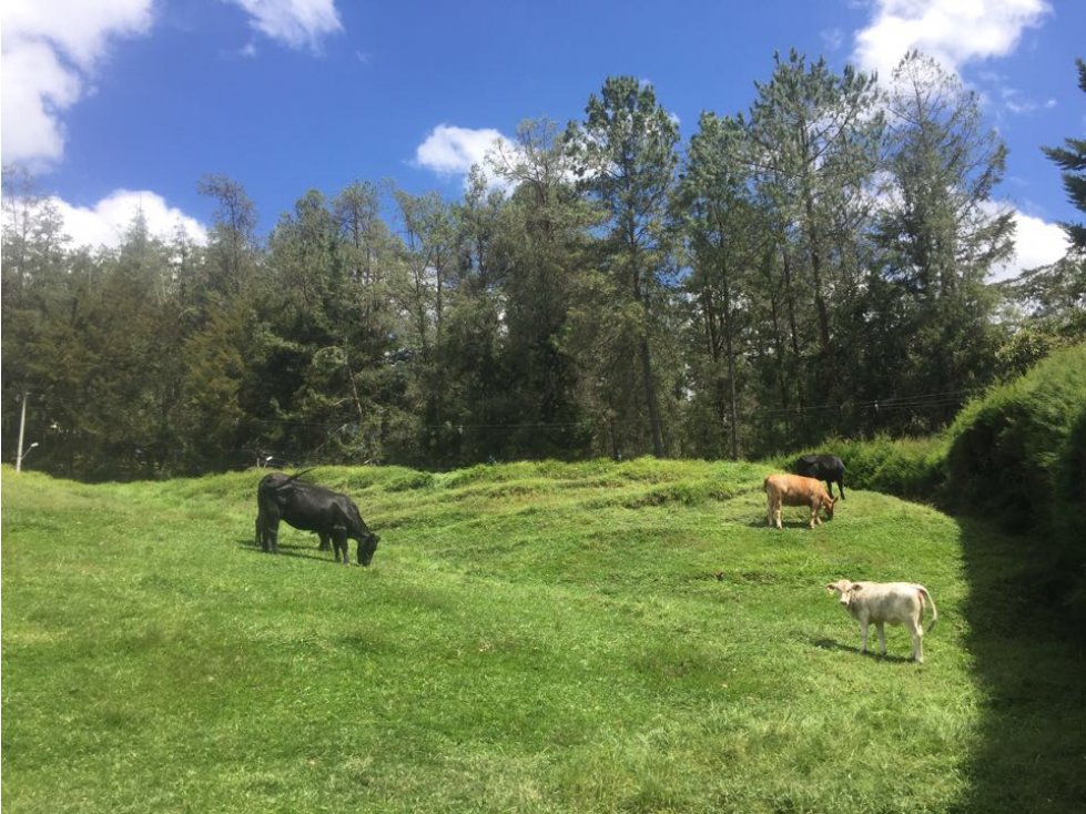 Venta De Lote En El Retiro sector la Maria — foto 2