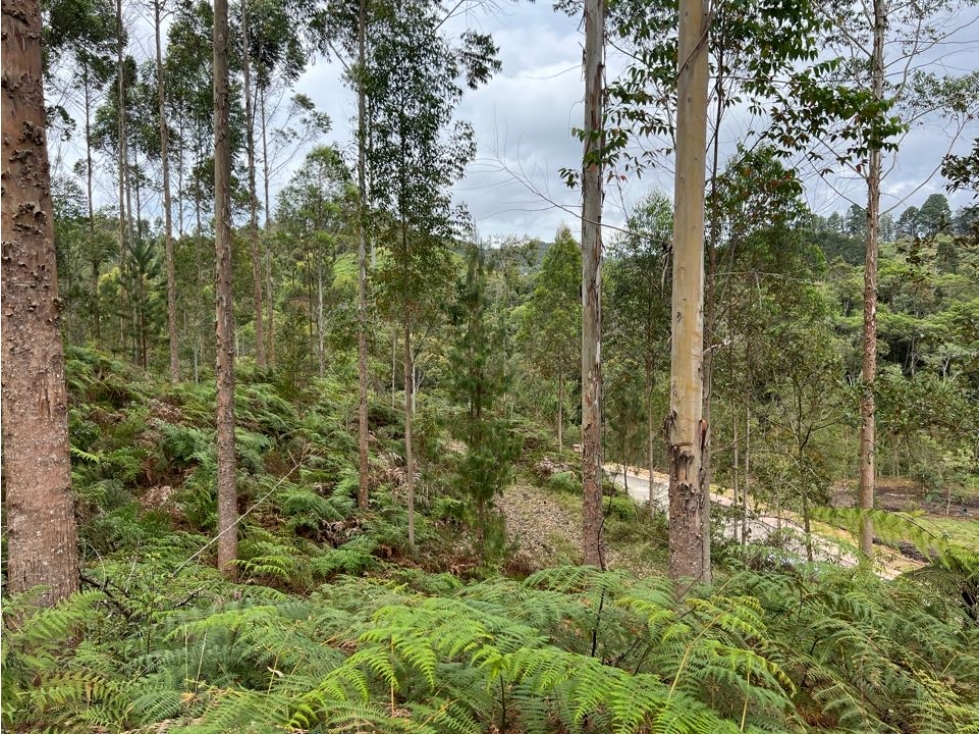 Venta lote Retiro Horizontes, unidad cerrada — foto 3