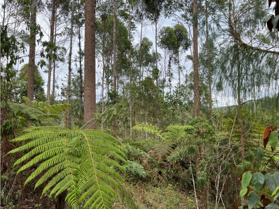 Venta lote Retiro Horizontes, unidad cerrada — foto 4