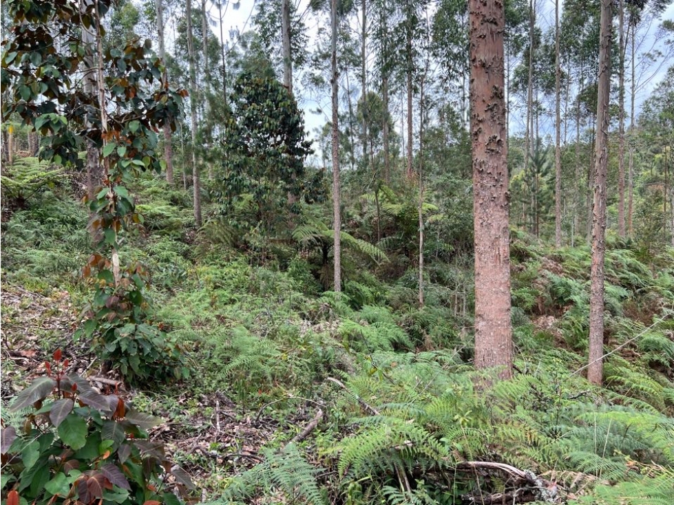 Venta lote Retiro Horizontes, unidad cerrada — foto 6