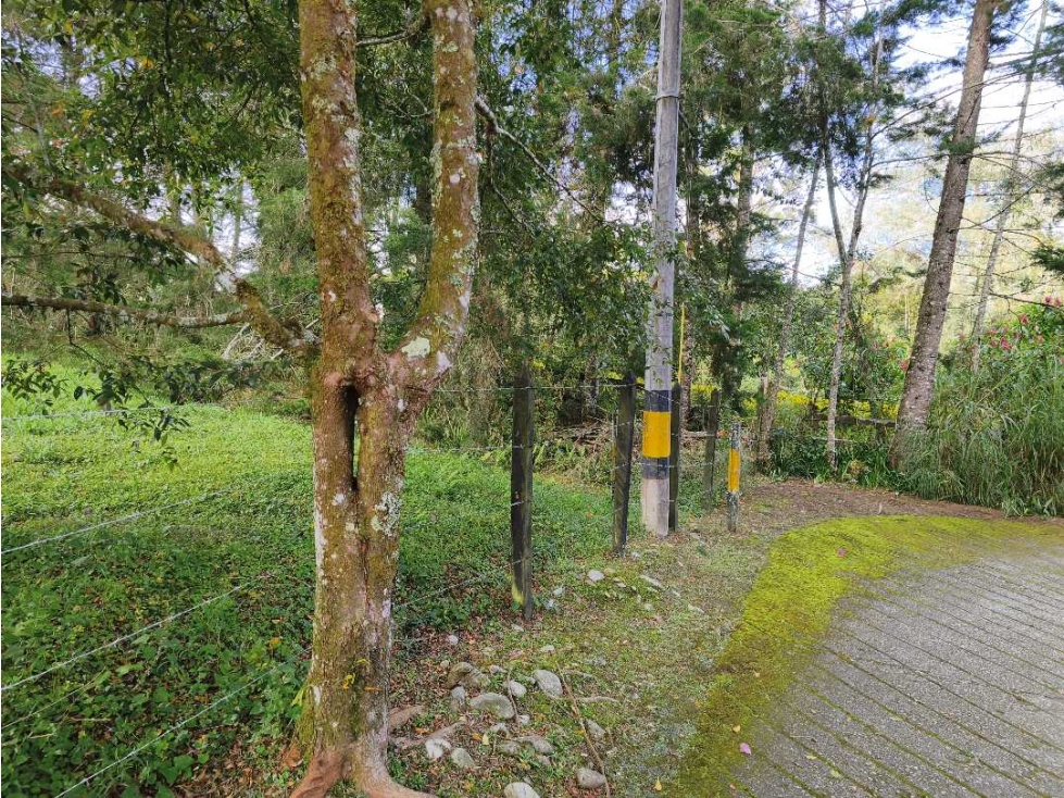 Venta Lote Rionegro vía Llanogrande por Clínica del Campestre. MIXTO — foto 2