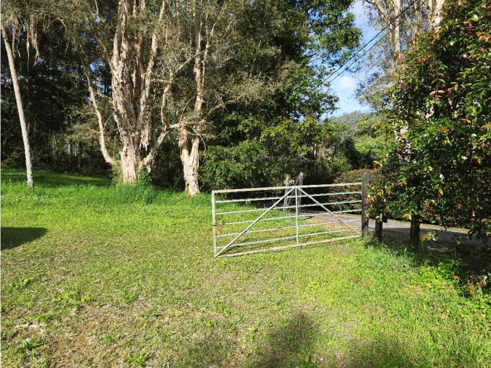 Venta Lote Rionegro vía Llanogrande por Clínica del Campestre. MIXTO — foto 3