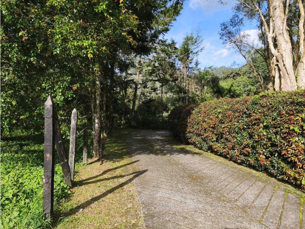 Venta Lote Rionegro vía Llanogrande por Clínica del Campestre. MIXTO — foto 4