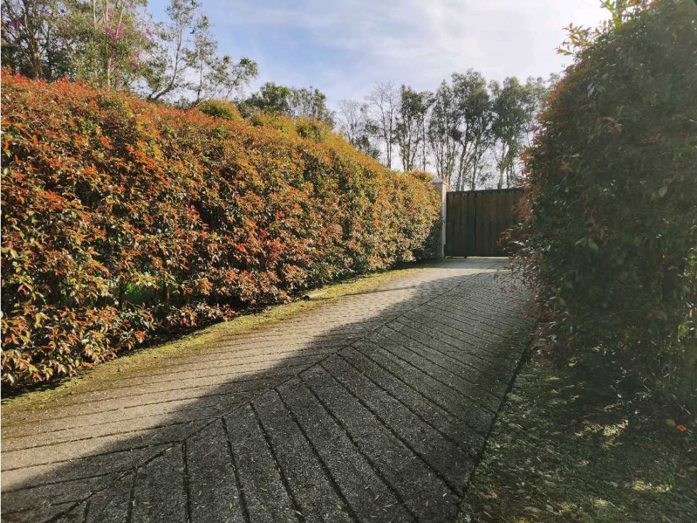 Venta Lote Rionegro vía Llanogrande por Clínica del Campestre. MIXTO — foto 5