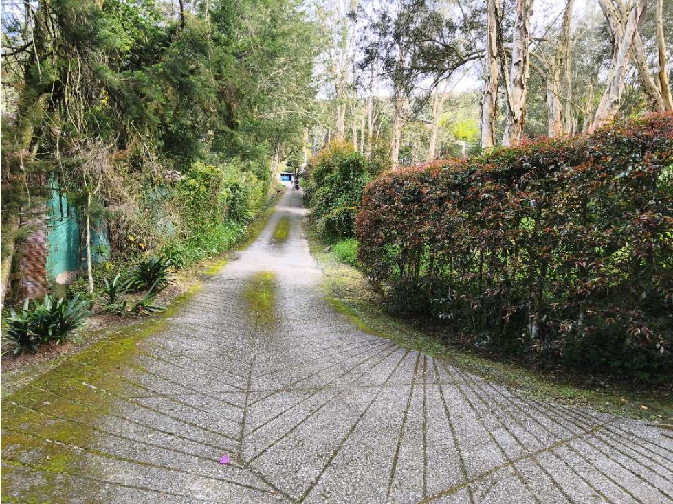 Venta Lote Rionegro vía Llanogrande por Clínica del Campestre. MIXTO