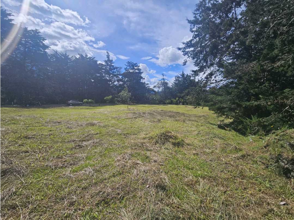 VENTA LOTE LLANOGRANDE VIA LA CEJA