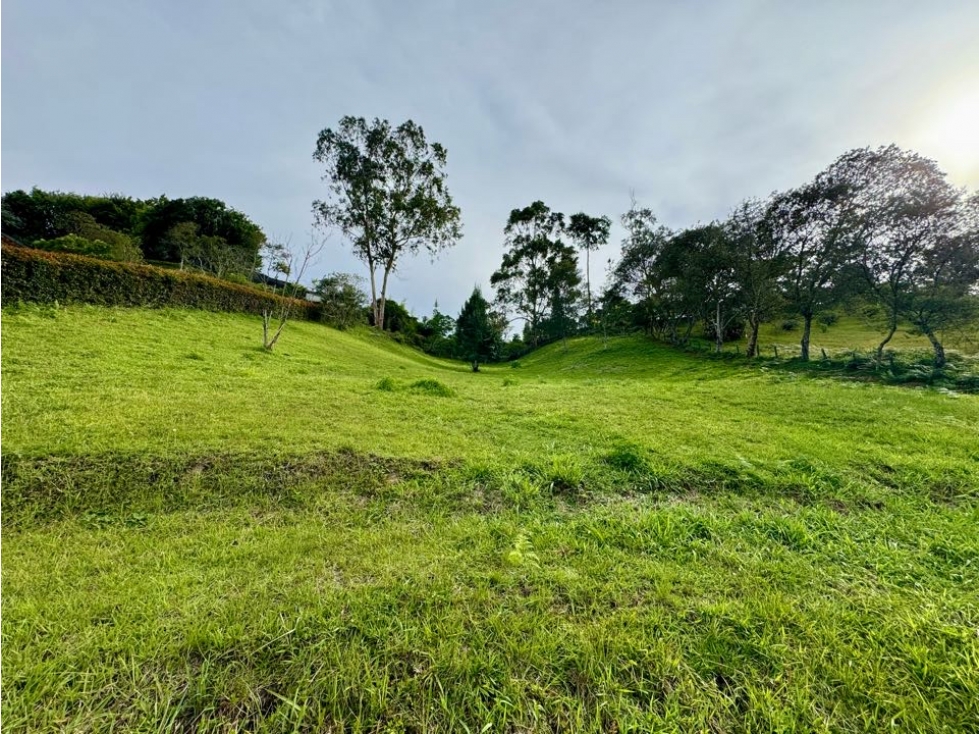 VENTA LOTE SAN ANTONIO DE PEREIRA - RIONEGRO