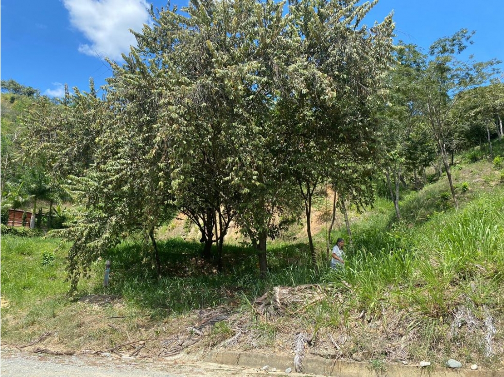 Venta lote San jeronimo sopetran parcelacion centro America — foto 4