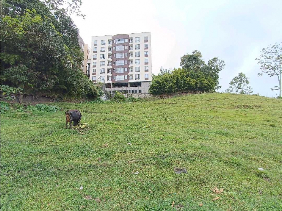 Venta Lote Sector El Crucero Villamaria Caldas - 1