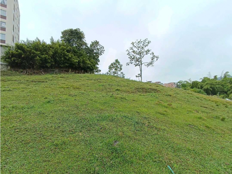 Venta Lote Sector El Crucero Villamaria Caldas - 3