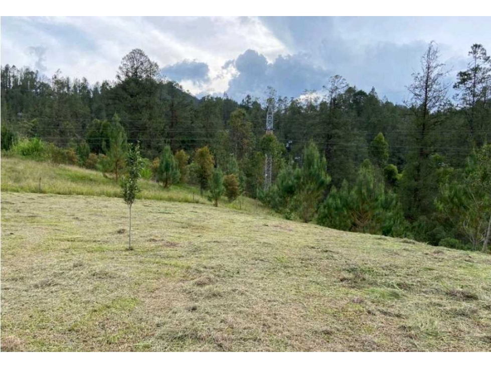 Venta Lote El Retiro Medellín