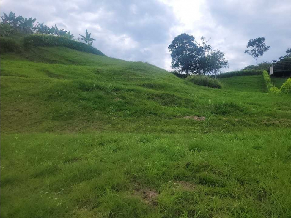Venta lote sector las margaritas, Anserma Cod.7121398 - 2