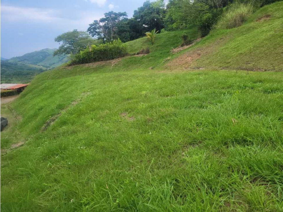 Venta lote sector las margaritas, Anserma Cod.7121398 - 3