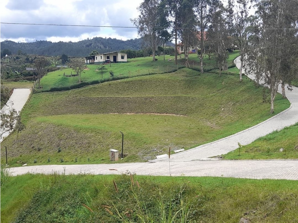 VENTA LOTE SECTOR PANTANILLO EL RETIRO